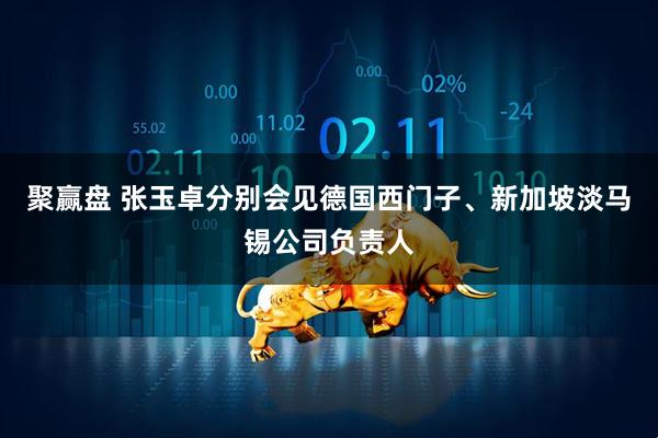 聚赢盘 张玉卓分别会见德国西门子、新加坡淡马锡公司负责人
