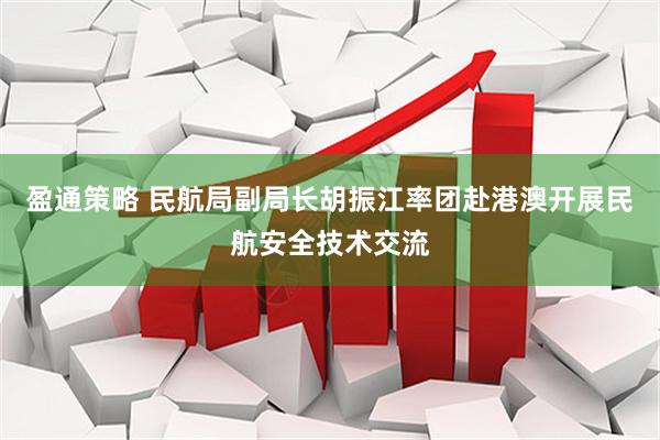 盈通策略 民航局副局长胡振江率团赴港澳开展民航安全技术交流