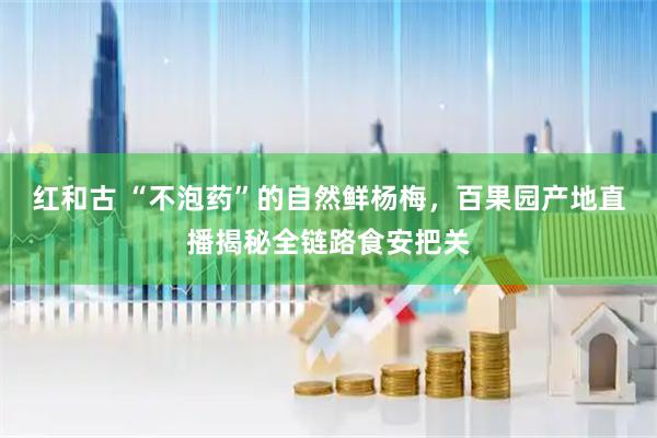 红和古 “不泡药”的自然鲜杨梅，百果园产地直播揭秘全链路食安把关